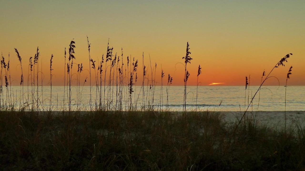 Sunset Chateau 409 St. Pete Beach Εξωτερικό φωτογραφία